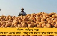 বিশেষ পদ্ধতিতে বছরে ৫০ লক্ষ চারা তৈরির লক্ষ্য - আলু চাষে স্বনির্ভর হতে উদ্যোগ রাজ্যের