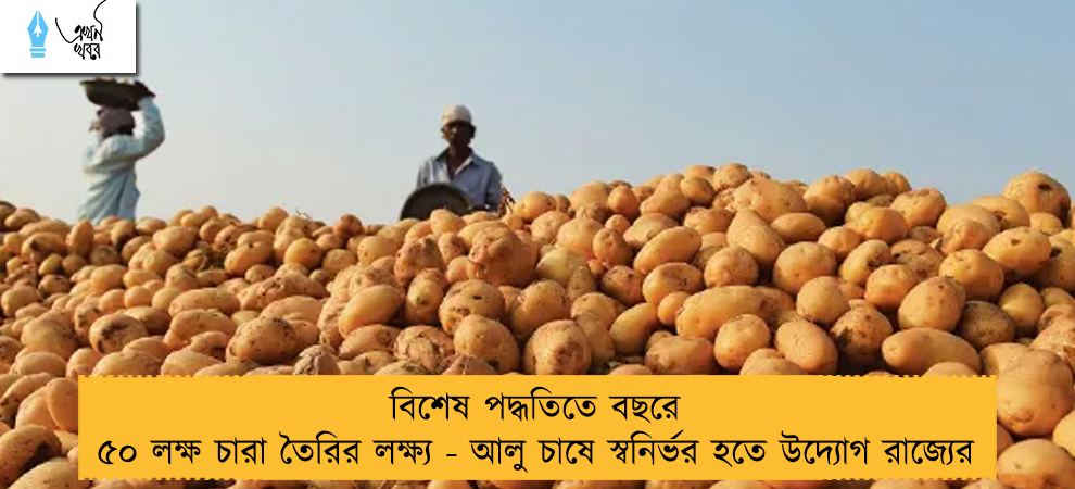 বিশেষ পদ্ধতিতে বছরে ৫০ লক্ষ চারা তৈরির লক্ষ্য - আলু চাষে স্বনির্ভর হতে উদ্যোগ রাজ্যের