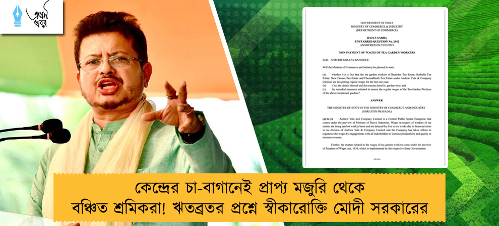 কেন্দ্রের চা-বাগানেই প্রাপ্য মজুরি থেকে বঞ্চিত শ্রমিকরা! ঋতব্রতর প্রশ্নে স্বীকারোক্তি মোদী সরকারের