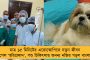মাহি-বিরাট মহারণের অপেক্ষায় ক্রিকেটপ্রেমীরা, চিপকে লজ্জার রেকর্ড বদলাতে মরিয়া আরসিবি