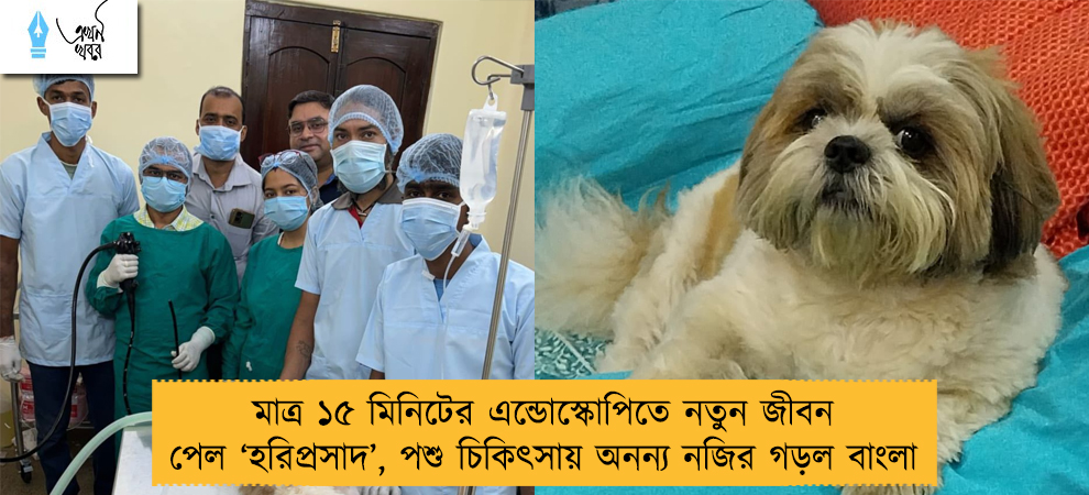 মাত্র ১৫ মিনিটের এন্ডোস্কোপিতে নতুন জীবন পেল ‘হরিপ্রসাদ’, পশু চিকিৎসায় অনন্য নজির গড়ল বাংলা