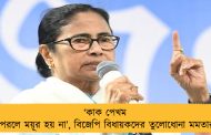 ‘কাক পেখম পরলে ময়ূর হয় না’, বিজেপি বিধায়কদের তুলোধোনা মমতার