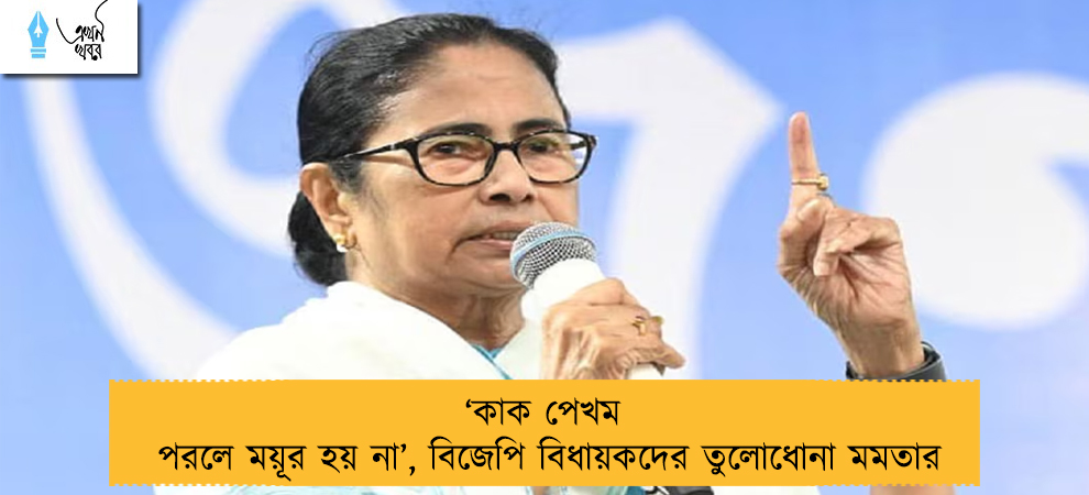 ‘কাক পেখম পরলে ময়ূর হয় না’, বিজেপি বিধায়কদের তুলোধোনা মমতার