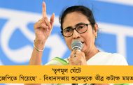 'তৃণমূল ঘেঁটে বিজেপিতে গিয়েছে' - বিধানসভায় শুভেন্দুকে তীব্র কটাক্ষ মমতার