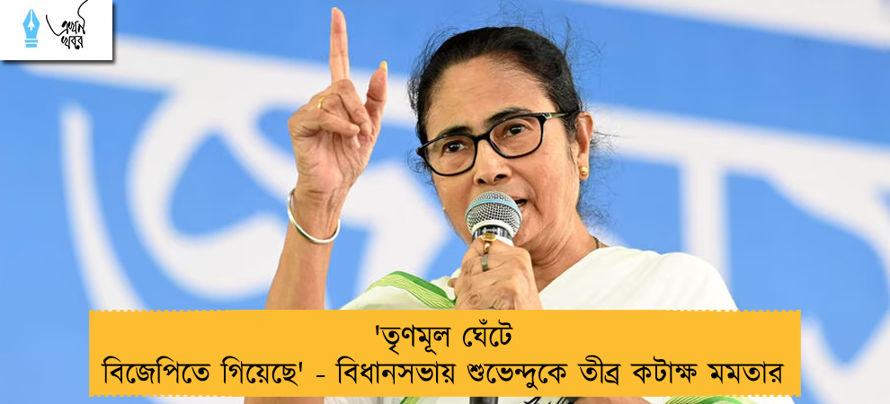 'তৃণমূল ঘেঁটে বিজেপিতে গিয়েছে' - বিধানসভায় শুভেন্দুকে তীব্র কটাক্ষ মমতার