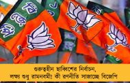 গুরুত্বহীন ছাব্বিশের নির্বাচন, লক্ষ্য শুধু রামনবমী! কী রণনীতি সাজাচ্ছে বিজেপি