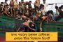 নারী দিবস উপলক্ষে পথে নামছে তৃণমূল মহিলা কংগ্রেস - বর্ণাঢ্য শোভাযাত্রার আয়োজন