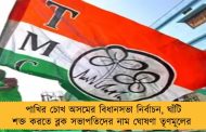 পাখির চোখ অসমের বিধানসভা নির্বাচন, ঘাঁটি শক্ত করতে ব্লক সভাপতিদের নাম ঘোষণা তৃণমূলের