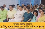 'ভূতুড়ে' ভোটার তাড়াতে ৫ নীতি, প্রত্যেক জেলায় কোর কমিটি তৈরি করল তৃণমূল