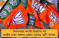 বিধানসভার আগেই বিজেপির নয়া কেন্দ্রীয় নেতা! মঙ্গলের প্রস্থানে নড়বড়ে ‘জুটি’ বাংলায়