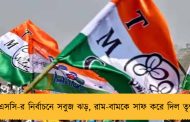 সিইএসসি-র নির্বাচনে সবুজ ঝড়, রাম-বামকে সাফ করে দিল তৃণমূল