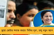ভুয়ো ভোটার শনাক্ত করবে 'দিদির দূত', চালু নতুন অ্যাপ