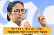 'কুৎসা রুখুন', দলের নেতা-কর্মীদের সমাজমাধ্যমে সক্রিয় হওয়ার নির্দেশ মমতার