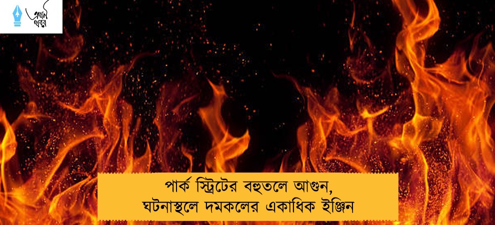 পার্ক স্ট্রিটের বহুতলে আগুন, ঘটনাস্থলে দমকলের একাধিক ইঞ্জিন