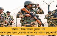 সীমান্ত পেরিয়ে ভারতে ঢুকতে গিয়ে বিএসএফের হাতে গ্রেফতার আরও এক পাক অনুপ্রবেশকারী