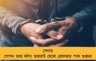 সেনার গোপন তথ্য ফাঁস! গুজরাট থেকে গ্রেফতার পাক গুপ্তচর