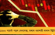 ১২০০ পয়েন্ট পড়ল সেনসেক্স, মঙ্গলে ধরাশায়ী দালাল স্ট্রিট