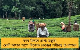 কবে মিলবে প্রাপ্য মজুরি! মোদী আসার আগে বিক্ষোভ কেন্দ্রের অধীনস্থ চা-বাগানে