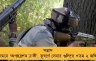 সন্ত্রাস দমনে ‘অপারেশন ত্রাসী’, ভূস্বর্গে সেনার গুলিতে খতম ২ জঙ্গি
