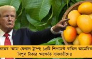 ভারতের 'আম' ফেরাল ট্রাম্প! ১৫টি শিপমেন্ট বাতিল আমেরিকার, বিপুল টাকার ক্ষয়ক্ষতি ব্যবসায়ীদের