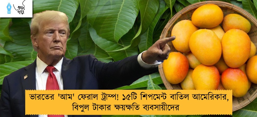 ভারতের 'আম' ফেরাল ট্রাম্প! ১৫টি শিপমেন্ট বাতিল আমেরিকার, বিপুল টাকার ক্ষয়ক্ষতি ব্যবসায়ীদের