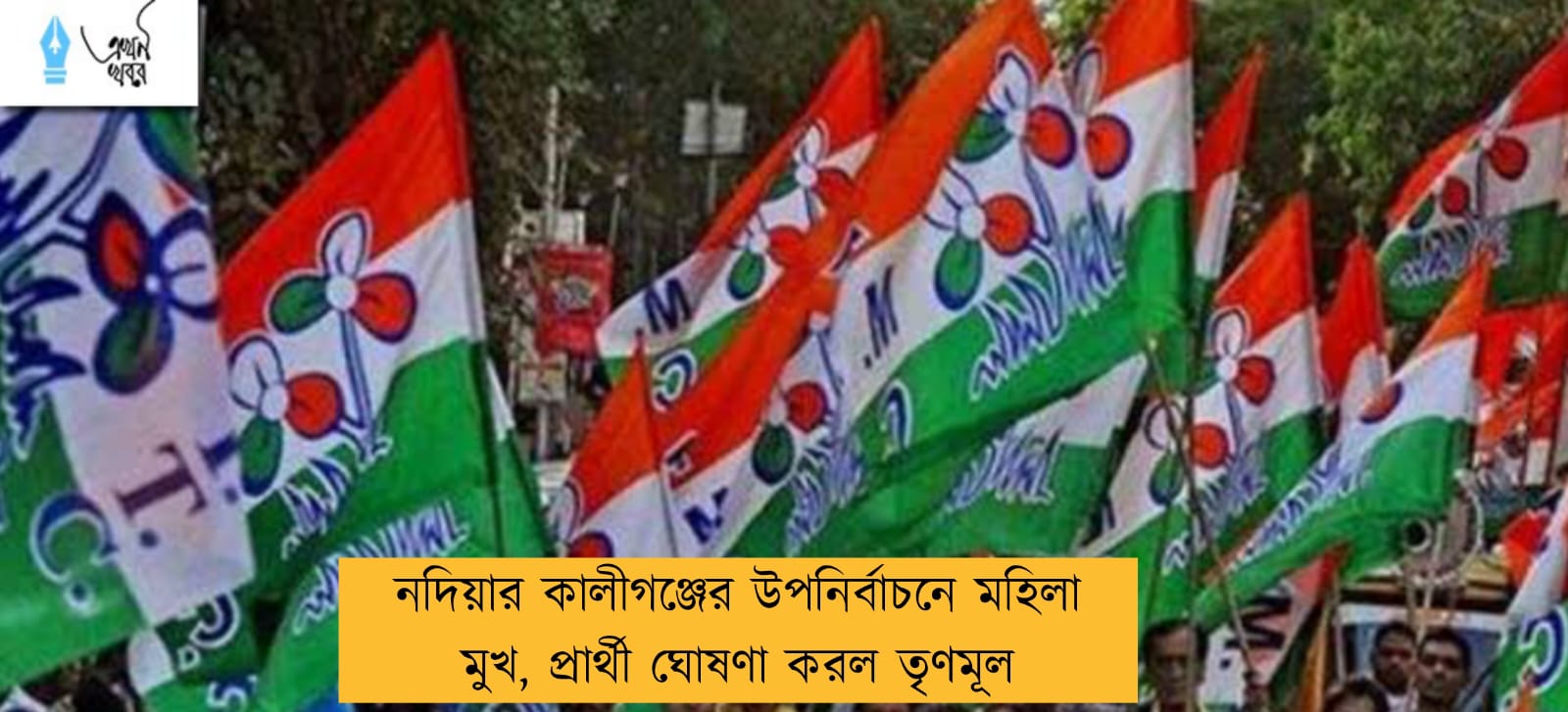নদিয়ার কালীগঞ্জের উপনির্বাচনে মহিলা মুখ, প্রার্থী ঘোষণা করল তৃণমূল