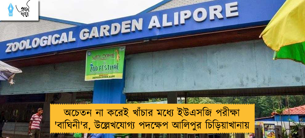 অচেতন না করেই খাঁচার মধ্যে ইউএসজি পরীক্ষা 'বাঘিনী'র, উল্লেখযোগ্য পদক্ষেপ আলিপুর চিড়িয়াখানায়