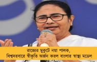 রাজ্যের মুকুটে নয়া পালক, বিশ্বদরবারে স্বীকৃতি অর্জন করল বাংলার স্বাস্থ্য মডেল