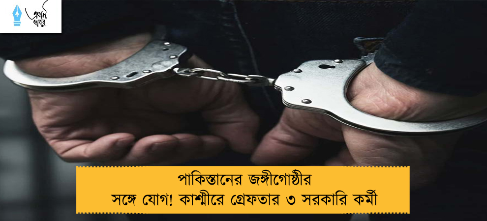 পাকিস্তানের জঙ্গীগোষ্ঠীর সঙ্গে যোগ! কাশ্মীরে গ্রেফতার ৩ সরকারি কর্মী