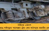 লাইনের একাংশ ভেঙে লাইনচ্যুত প্যাসেঞ্জার ট্রেন! ফের কাঠগড়ায় ভারতীয় রেল