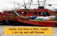বাঙালির পাতে মিলবে না ইলিশ, পমফ্রেট! ২ মাস মাছ ধরায় জারি নিষেধাজ্ঞা