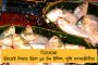 আহমেদাবাদ বিমান দুর্ঘটনার রহস্যের মাঝেই ড্রিমলাইনারকে ক্লিনচিট ডিজিসিএ'র