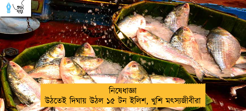 নিষেধাজ্ঞা উঠতেই দিঘায় উঠল ১৫ টন ইলিশ, খুশি মৎস্যজীবীরা