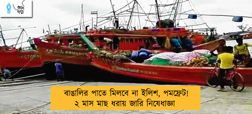 বাঙালির পাতে মিলবে না ইলিশ, পমফ্রেট! ২ মাস মাছ ধরায় জারি নিষেধাজ্ঞা