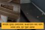 আহমেদাবাদে ভেঙে পড়ল এয়ার ইন্ডিয়ার যাত্রীবাহী বিমান! বিপুল হতাহতের আশঙ্কা