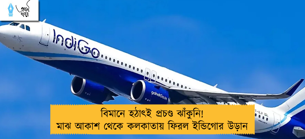 বিমানে হঠাৎই প্রচণ্ড ঝাঁকুনি! মাঝ আকাশ থেকে কলকাতায় ফিরল ইন্ডিগোর উড়ান