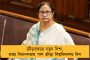 অচেতন না করেই খাঁচার মধ্যে ইউএসজি পরীক্ষা 'বাঘিনী'র, উল্লেখযোগ্য পদক্ষেপ আলিপুর চিড়িয়াখানায়