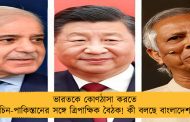 ভারতকে কোণঠাসা করতে চিন-পাকিস্তানের সঙ্গে ত্রিপাক্ষিক বৈঠক! কী বলছে বাংলাদেশ