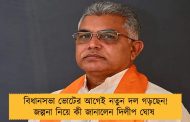 বিধানসভা ভোটের আগেই নতুন দল গড়ছেন! জল্পনা নিয়ে কী জানালেন দিলীপ ঘোষ