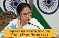 ডিক্লারেশন ফর্মে জন্মসালের উল্লেখ কেন! নির্বাচন কমিশনকে বিঁধে প্রশ্ন মমতার