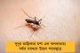 বিমান দুর্ঘটনার জেরে ব্রিটেন ও আমেরিকায় আইনি জটিলতার মুখে এয়ার ইন্ডিয়া