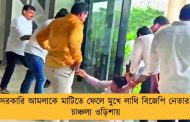 সরকারি আমলাকে মাটিতে ফেলে মুখে লাথি বিজেপি নেতার! চাঞ্চল্য ওড়িশায়