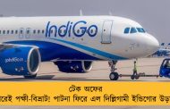 টেক অফের পরেই পক্ষী-বিভ্রাট! পাটনা ফিরে এল দিল্লিগামী ইন্ডিগোর উড়ান
