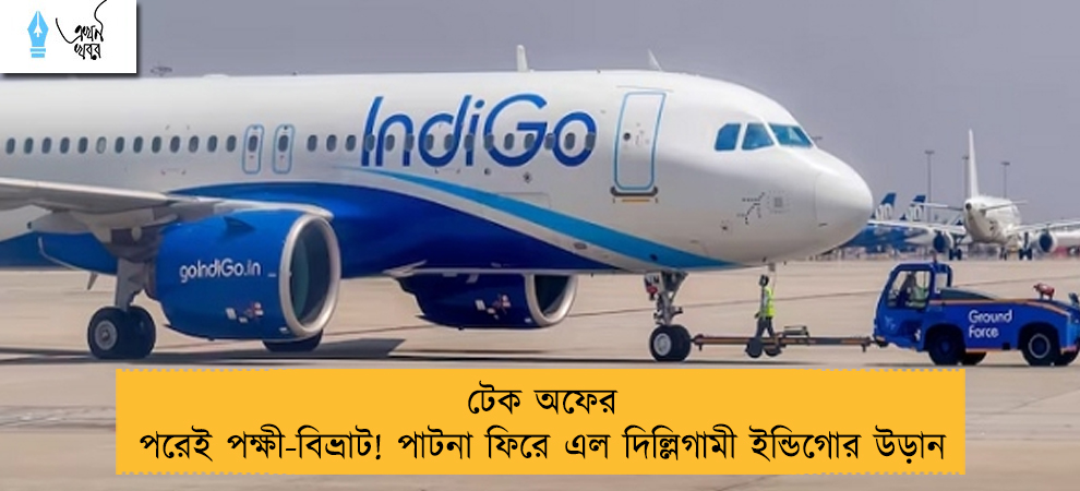 টেক অফের পরেই পক্ষী-বিভ্রাট! পাটনা ফিরে এল দিল্লিগামী ইন্ডিগোর উড়ান