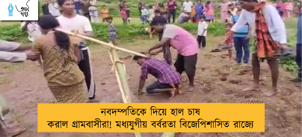 নবদম্পতিকে দিয়ে হাল চাষ করাল গ্রামবাসীরা! মধ্যযুগীয় বর্বরতা বিজেপিশাসিত রাজ্যে