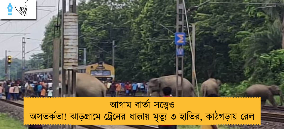 আগাম বার্তা সত্ত্বেও অসতর্কতা! ঝাড়গ্রামে ট্রেনের ধাক্কায় মৃত্যু ৩ হাতির, কাঠগড়ায় রেল