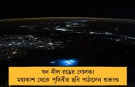 ঘন নীল রঙের গোলক! মহাকাশ থেকে পৃথিবীর ছবি পাঠালেন শুভাংশু