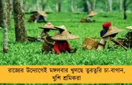রাজ্যের উদ্যোগেই মঙ্গলবার খুলছে তুরতুরি চা-বাগান, খুশি শ্রমিকরা