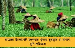 রাজ্যের উদ্যোগেই মঙ্গলবার খুলছে তুরতুরি চা-বাগান, খুশি শ্রমিকরা