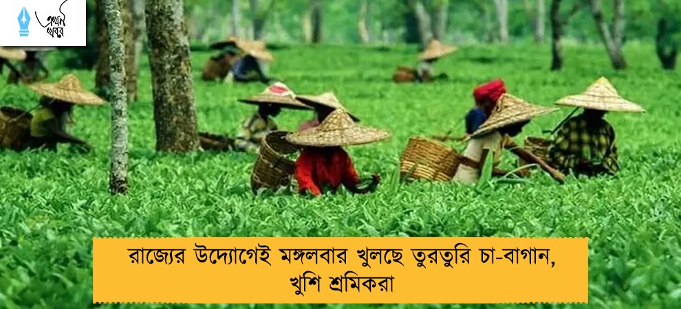 রাজ্যের উদ্যোগেই মঙ্গলবার খুলছে তুরতুরি চা-বাগান, খুশি শ্রমিকরা